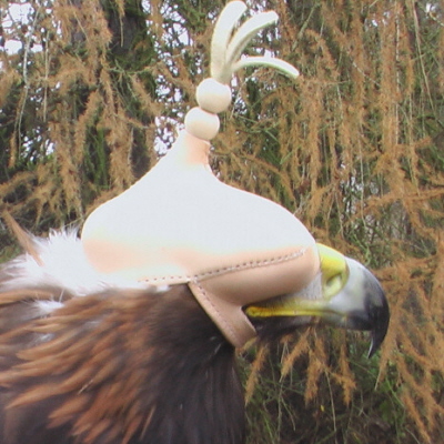 Adlerhaube – jaglich- ohne Schnurriemchen –  KYRGYZSTAN - Grosse: 17