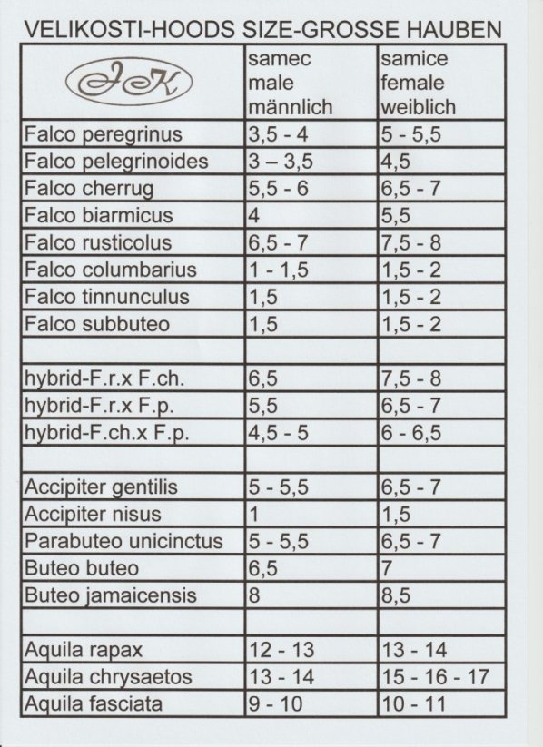 Sokolnická čepička-EZ-sokolí - Velikost: 7,5