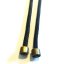 Falcon jesses-PS-1 pair