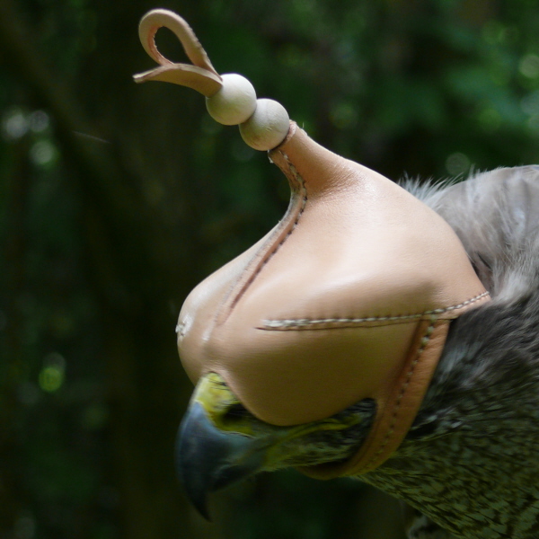 Falkenhaube-jaglich-ohne Schnurriemchen–KYRGYZSTAN - Grosse: 6,5