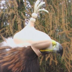 Hunting Hood, without Straps – Eagle Type – KYRGYZSTAN