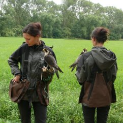 Falcon vest