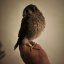 Falco sparverius-samica